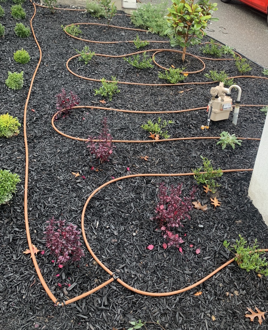 Irrigation drip line