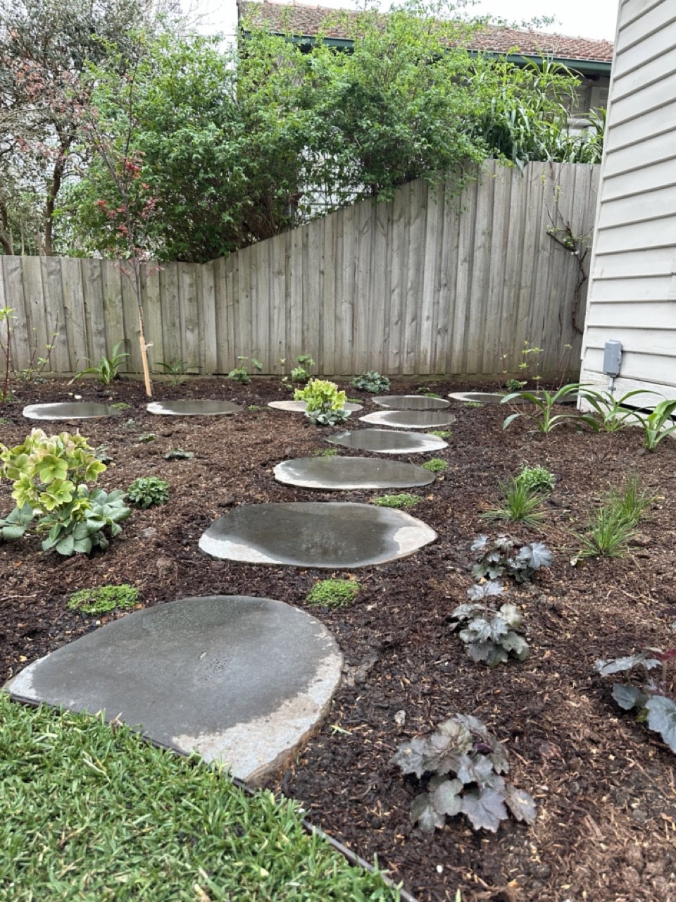 Stepping stones through garden bed